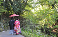 「ナシ婚」にするにはワケがある！？結婚式のデメリット