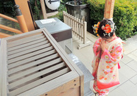 市川大野「本光寺」の子育て応援イベントが熱い！「七五三ぽっくん祭り」