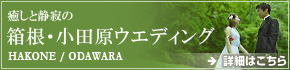 banner290_70