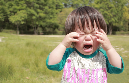 月齢別育児 イヤイヤ期真っ只中の2歳の育児 どうしたらいい ぐるなびウエディングhowto