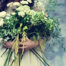 150114177074_o_220x220