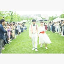 158147999523_o_220x220