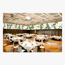 119154690631_o_220x220