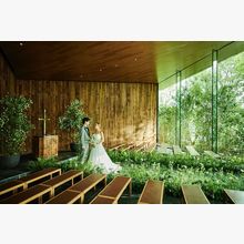 197635b61161a2364b9673bedb0e24df0_220x220