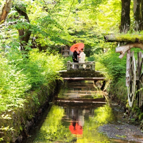 境内前撮り　風景