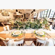 157913826398_o_220x220