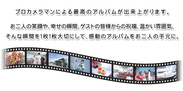 プロカメラマンによる最高のアルバムを