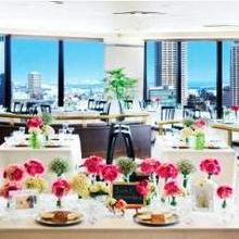 141886734321_o_220x220