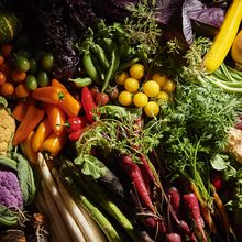 1db53dcfccc2e7b7aa168b08ec749faa8_220x220