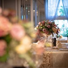 1f05935f88c8ee5dd62312dfdb7a2000c_220x220