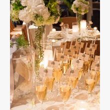 569f3610301e7731fea5f3c70d8ce7631fd6162f_220x220