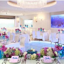 144367550346_o_220x220