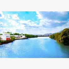 146396701276_o_220x220