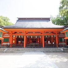 145627438061_o_220x220