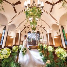 152419633080_o_220x220