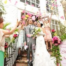 141941255183_o_220x220