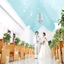 154215994282_o_220x220