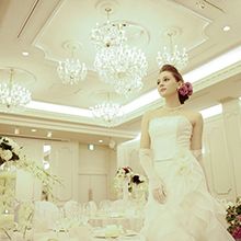 13eceb9eaf3d6ea636d23cfe9d026e871_220x220