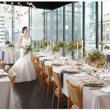 155885639829_o_220x220