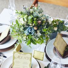 16f0bb2e1caaef2e25a7d7fa44804db89_220x220