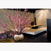 176469c37177da75029cf245fae7787bc_220x220