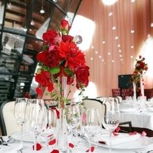 1e2e1fb4a96cf528076a4f066ff826a56ae2342a_220x220