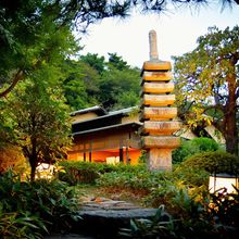 148532701041_o_220x220