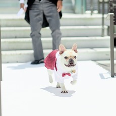 愛犬と一緒に挙式が可能