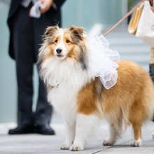 テラスのあるレストランだからこそできる