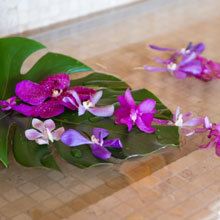 16a2ae2b8d53e7a4266083989c92864a1_220x220