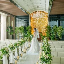 14c18af70002432a24ffae556b495fc69_220x220