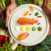 153007212a5c1b8dfc65e2776fb56b409_220x220