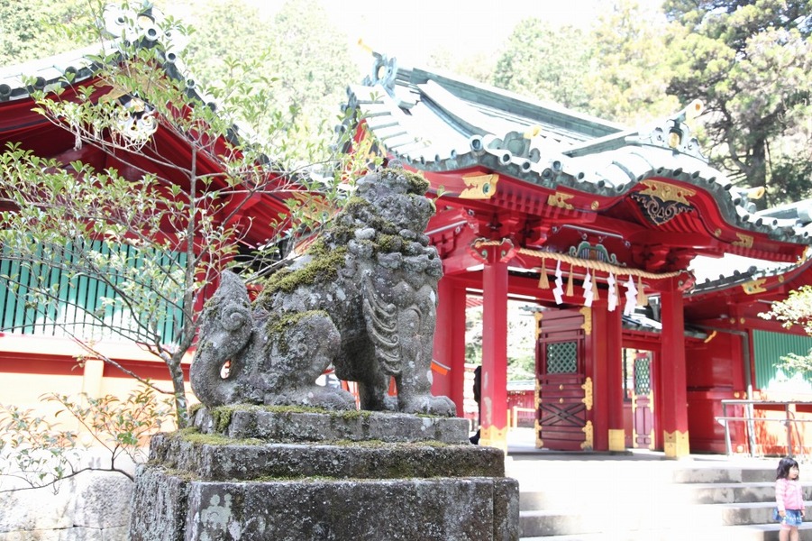 箱根神社　結婚式　神前式　披露宴　アルベルゴバンブー
