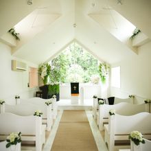 145951076715_o_220x220