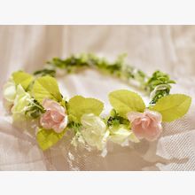 12e2f61b2ff4139cd62e494a4ca1f8a56_220x220