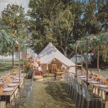 158095866796_o_220x220