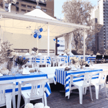 142044135036_o_220x220