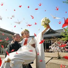 149430796156_o_220x220