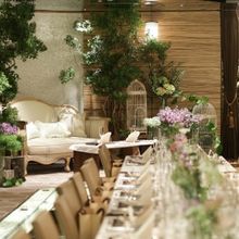 157931259867_o_220x220