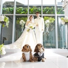 ワンちゃんと一緒に挙式プラン ルクリアモーレ大阪で結婚式 ぐるなびウエディング