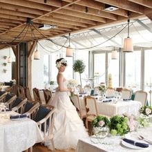 142407394419_o_220x220