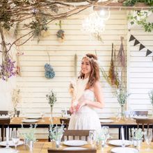 149807857559_o_220x220