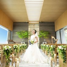 157338705988_o_220x220