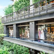 1bbcc9a8a6d7ea5bb897d0ae6a97130c3_220x220