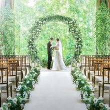 1f1af8804bd89775d8e8cf8560748940b_220x220