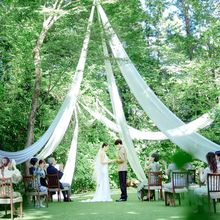 1f0ffa5db1935eb5b056e87fe23d6d46c_220x220