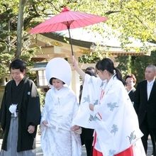 141896758298_o_220x220