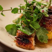 nb86911_1200dbbe82964e90af4200568cc83b0a20251031151730_220x220