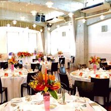 143916537562_o_220x220