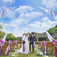 1b59b9b25ed730280ee75ca3d737ab87b_220x220